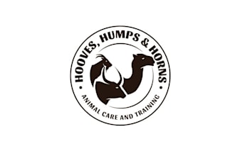 make aesthetics high resolution new logo for a camel trainer
