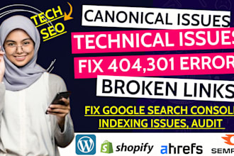 fix canonical issues, 404,301, broken links gsc errors and indexing issues