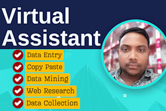 do data entry, web research, data collection and any virtual assistant tasks