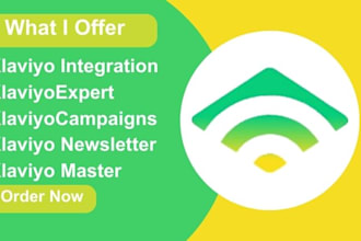 do klaviyo integration campaigns newsletter master expert