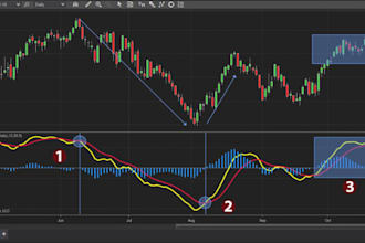 develop a custom tradingview pine script indic ator and strategy in pine script
