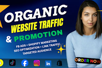do website promotion, shopify facebook ads to increase organic website traffic