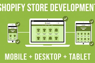 provide shopify store development