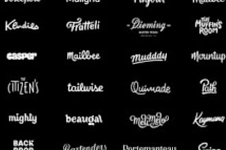 design wordmark lettermark and mascot logo