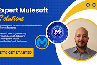be your expert mulesoft consultant,mentor and problem solver