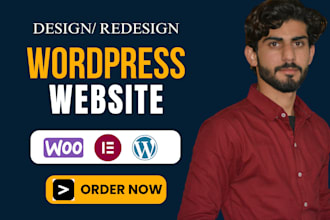 redesign,rebuild,duplicate or copy clone your wordpress website