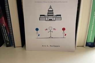 provide political or business writing and analysis