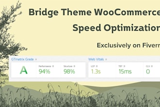 do bridge woocommerce theme speed optimization and optimize page speed