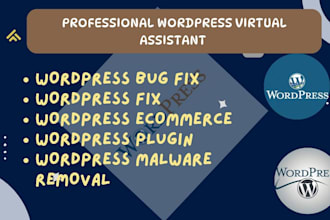 fix wordpress bug fix wordpress erros fix wordpress malware issues