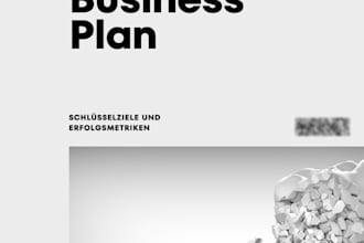 create a professional business plan and financial forecast