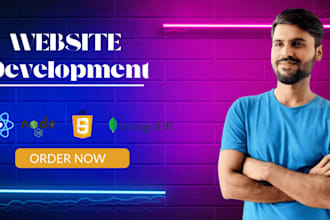 build , rebuild website , frontend backend developer