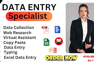 do data entry web research copy paste data collection and excel data entry
