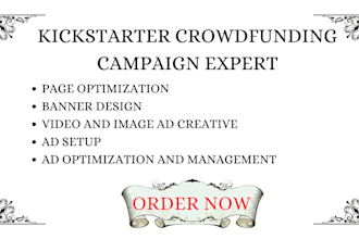 run highly converting facebook instagram linkedin google ads for kickstarter