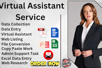 be your virtual assistant for data entry web research copy paste data collection