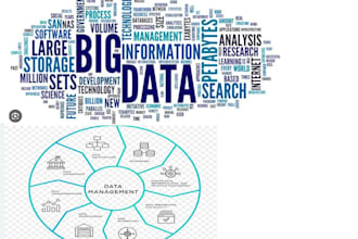 provide expert data management