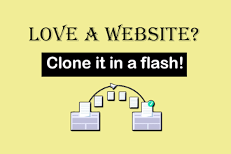 copy or clone website, duplicate, replicate website or wordpress website design