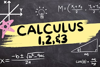 be your expert calculus tutor