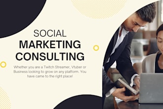 provide social media consulting