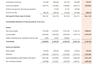 offer financial planning, analysis and advisory
