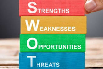do market research, swot analysis, pestle analysis and competitor analysis