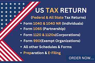 file US tax return for business and individual tax return, form 1120, 1040, 1065