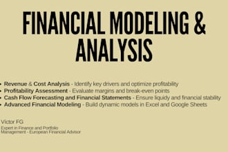 create custom financial models and provide expert analysis