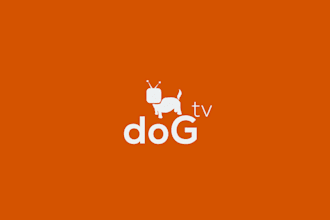 create a modern minimalist TV channel logo design