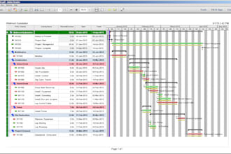 do data analysis, excel dashboards, gantt charts and powerpoint reports in 24hrs