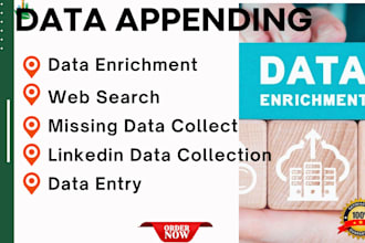 do data enrichment appending and web search