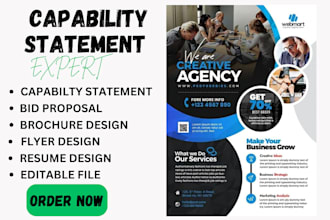 design a top quality government capability statement in 12 hours