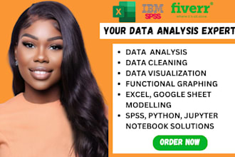 be your data analyst excel, python, power bi developer