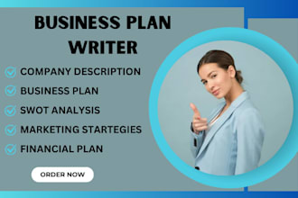provide investor ready business plan, franchise proposal, financial plan