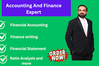 do accounting and finance projects financial statements and analysis reports