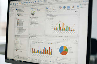 excel data analysis and data clean up