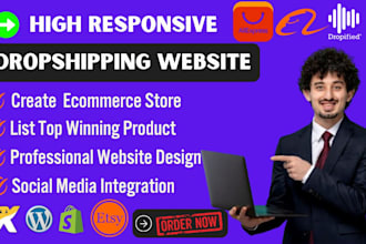 create a pro shopify wordpress wix etsy dropshipping website for your business