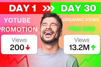 do super organic youtube video promotion get views in USA