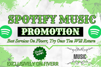 do professional spotify music promotion