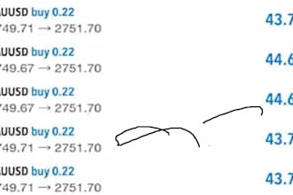 offer forex trading bot, forex bot, trading bot, forex ea, forex trading bot