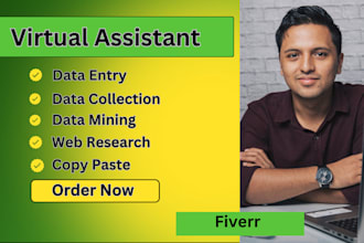 be your virtual assistant for data entry,data mining, copy paste, web research