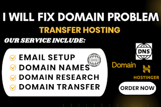 fix domain problems, transfer hosting and research affordable domains, setup dns