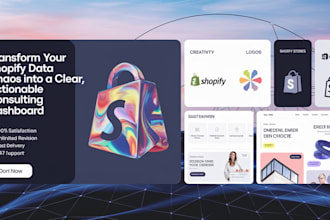 transform your shopify data chaos into a clear consulting dashboard