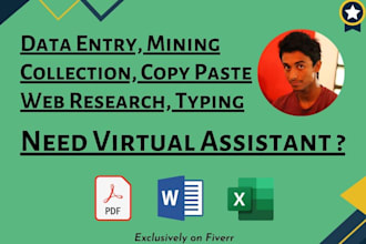 do data entry, typing job, mining, web research, ms excel data entry, copy paste