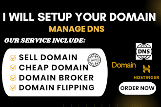 fix, connect, redirect your domain, set up domain emails and manage dns