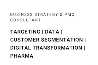 mentor you to plan and execute your business strategy like a pmo expert