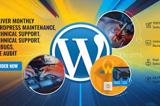 deliver monthly wordpress maintenance and support, fix bugs, site audit