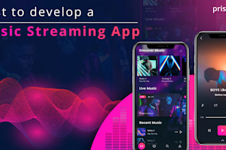 l develop music streaming app video streaming app music streaming website