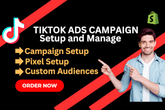 create, manage and run tiktok ads campaign