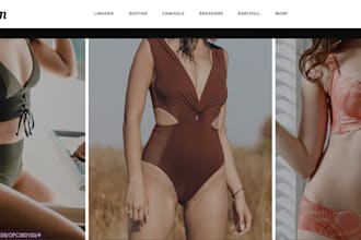 design adult toy website erotic toys store ecommerce passion toy website