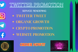 pump twitter promotion for followers, organic growth of telegram, memecoin token