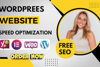 do workpress speed optimization for pagespeed insight